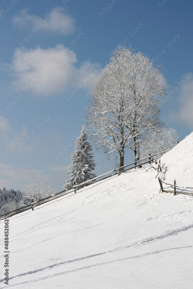 Obraz premium Winter landscape with wooden fence
