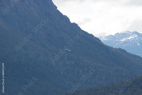 PAISAJES EN BARILOCHE