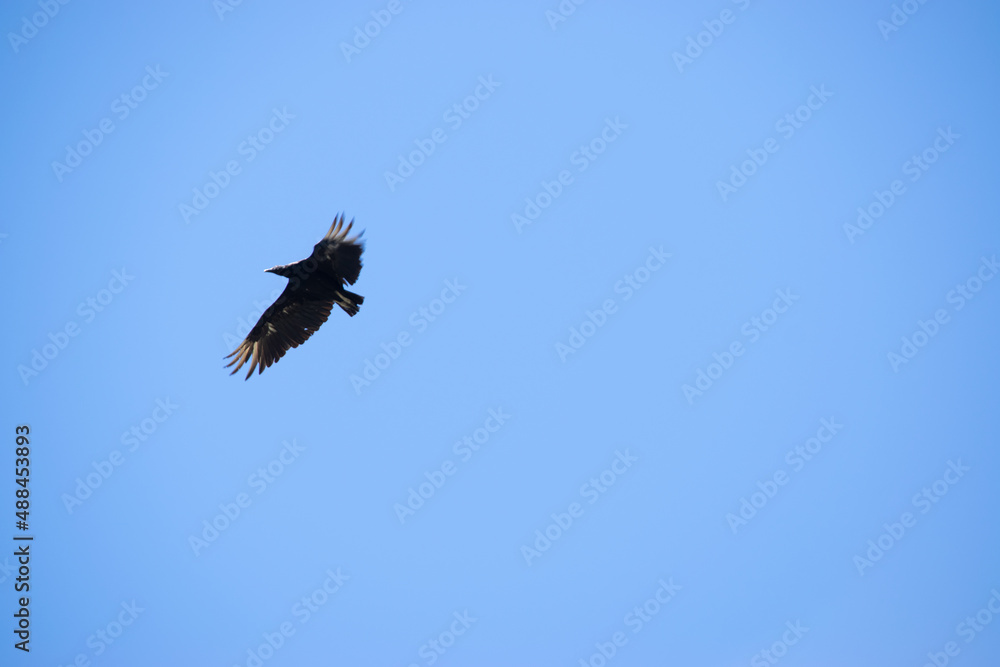 Obraz premium BARILOCHE LAGO