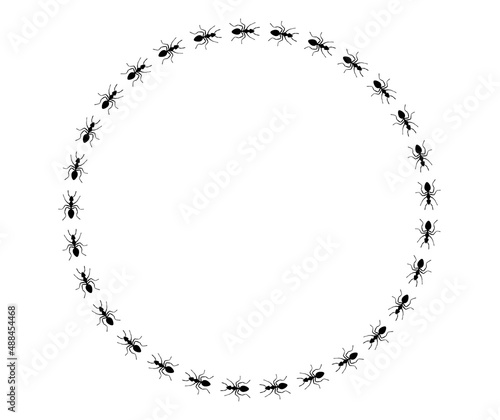 Ants trail circle frame, line of working ants on white background. Groups of insect marching or walking down the road. Insect colony, control disinfection, vector illustration