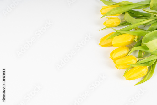 layout of yellow tulips on a white background with copy space