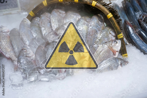 A basket of seafood and distant sea fish with a warning about nuclear radiation.contaminated foods.Radioactive soil.metaphor for nuclear threat.Nuclear leak,Environmental damage.white background. photo