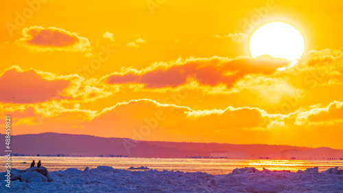 流氷の上のオオワシ　日の出に染まる空と海