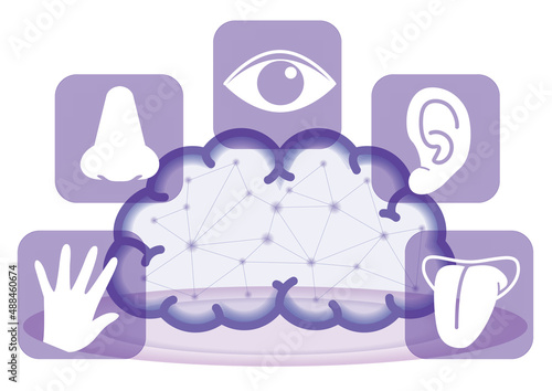 五感イメージと脳・インフォグラフィック