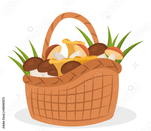 Mushrooms in basket