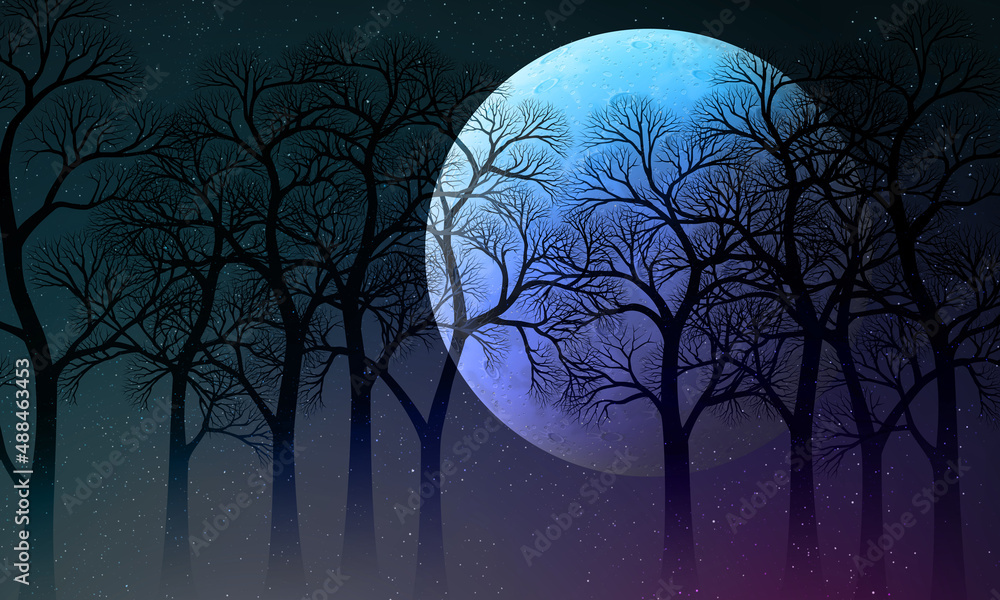 night sky wallpapers full moon with trees and moon 달과 숲속 밤하늘 배경화면 Stock ...