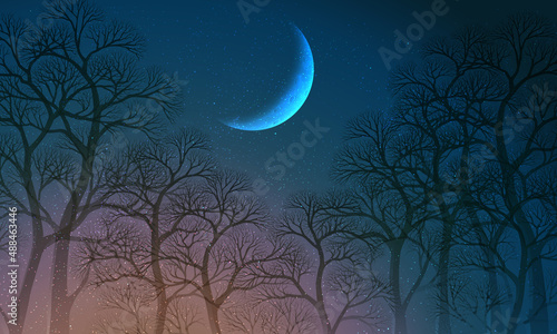 night sky wallpaper with crescent moon and trees 달과 숲속 밤하늘 배경화면
