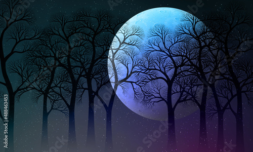 night sky wallpapers full moon with trees and moon 달과 숲속 밤하늘 배경화면