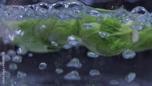 put brussels sprouts on boiling water pot slow motion 4k