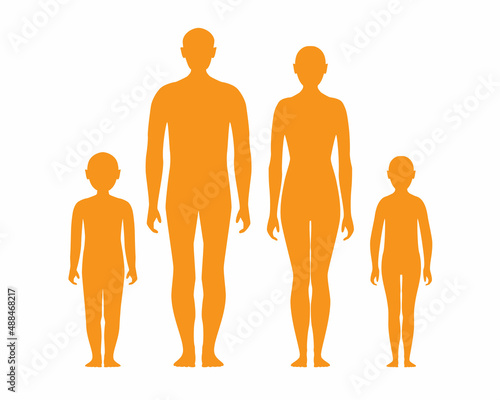 Silhouette of human body anatomy in standing position, adult male female and kids