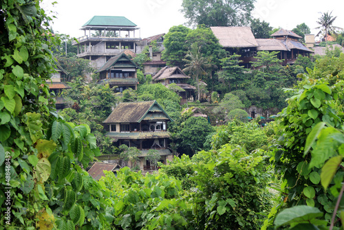 Villas around quiet Campuhan ridge walk Ubud. Taken January 2022.