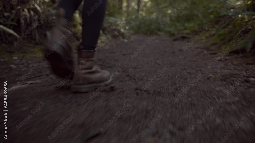 walking through the woods walking through the woods