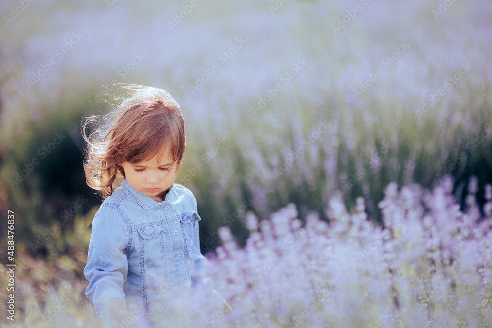 Adorable Toddler Girl in Lavender Field Enjoying Nature Adorable Toddler Girl in Lavender Field Enjoying Nature