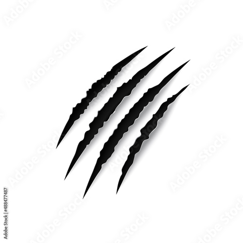 Scratches of claw, animals nails trace on paper isolated. Vector claw scratch wild rip tiger, bear or cat paw sherds. Monster beast break, four claws scratch trace on paper texture, werewolf trail
