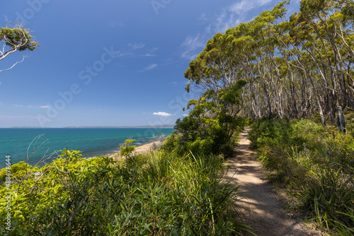 Walking track between Blenheim and Greenfields beach, part of the white sands walk, NSW, Australia