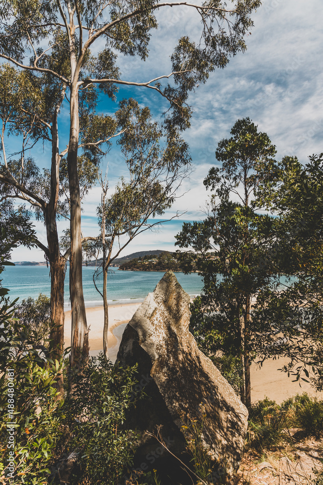 Obraz premium beautiful scenary of the Pacific Ocean and thick native vegetation shot from a vantage point during a hike in Southern Tasmania