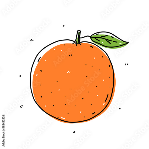 Orange fruit isolated on white background. Fresh citrus. Vector hand-drawn illustration in doodle style. Perfect for cards, logo, decorations, recipes, various designs.
