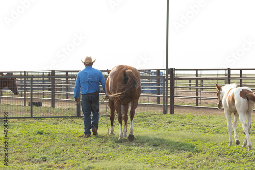 West Texas Cowboy