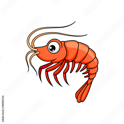 Prawn shellfish crustaceans isolated shrimp funny cartoon character. Vector big red tiger shrimp animated personage  mediterranean cuisine food mascot. Seafood  underwater marine animal with whiskers