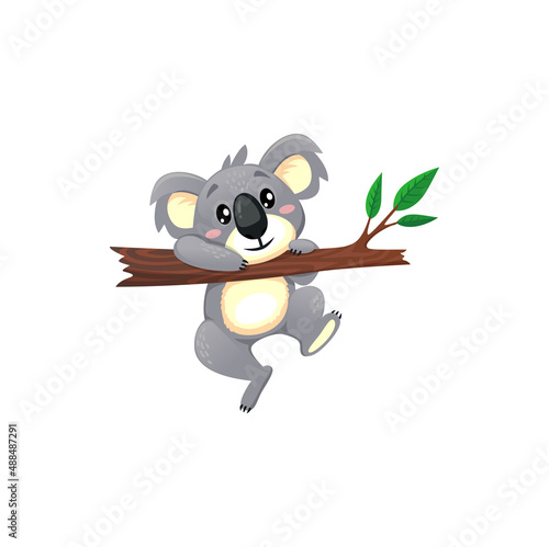 Cute Australian animal funny koala playing on eucalyptus branch isolated gray bear sweet cartoon personage. Vector happy young koala hanging on tree, cheerful wildlife mammal, lazy koala baby