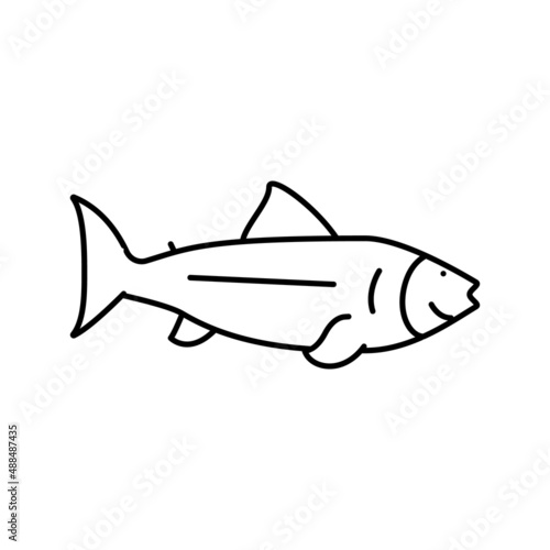 fish ocean line icon vector illustration