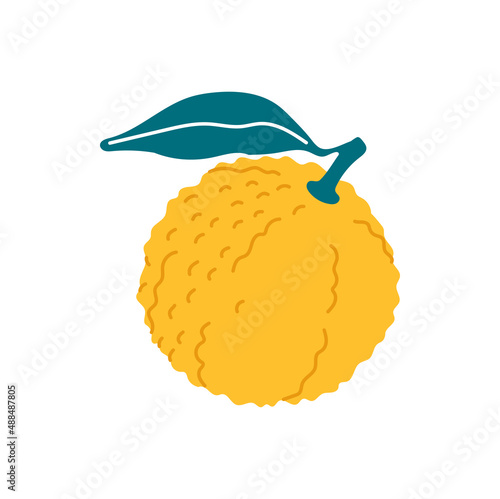 Japanese yuzu pomelo or junos yuya grapefruit isolated yellow fruit with leaf flat cartoon icon. Vector exotic tropical fruit dessert, farmer market design. Yuzu citrus, fresh whole Chinese pomelo photo