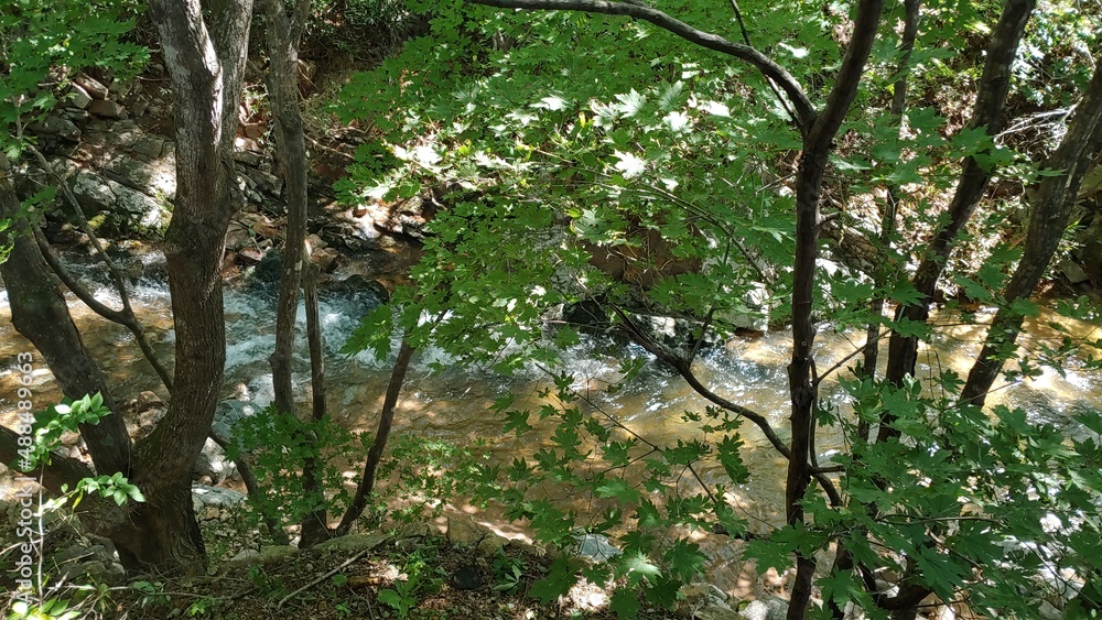 The valley water through the branches. The valley water through the branches.