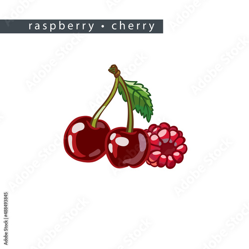 sketch_raspberry_cherry_three_berries_and_leaf