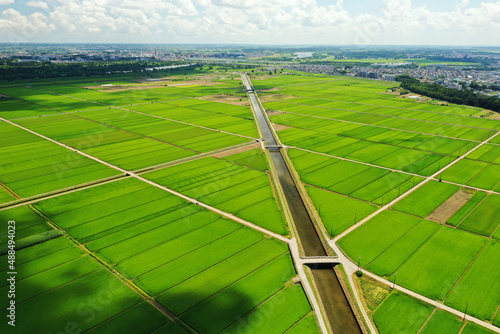 我孫子市の水田風景の空撮