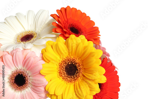Bouquet of beautiful colorful gerbera flowers on white background, closeup