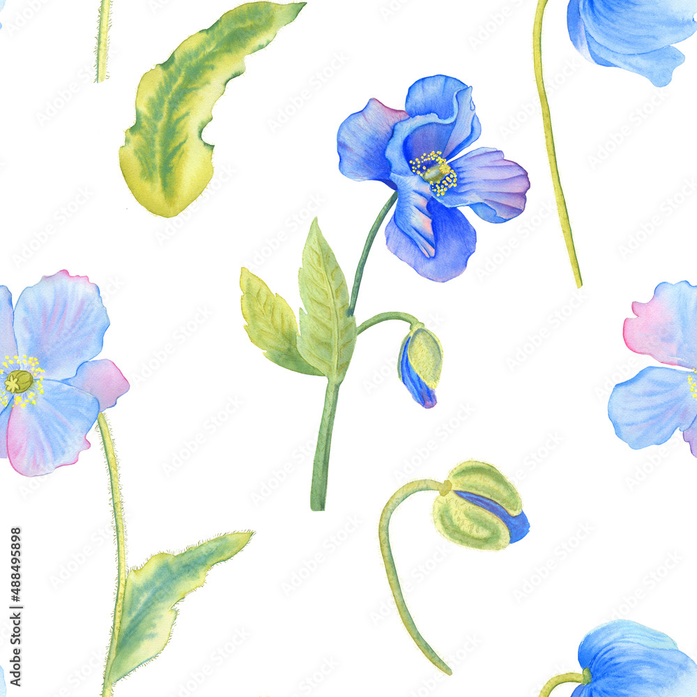 Blue poppies watercolor seamless pattern. Hand drawn illustration of Himalayan flowers and leaves on a white background. Floral ornament. For textile and wallpeper