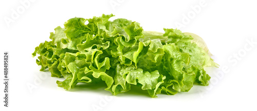 Salad leaf. Lettuce, isolated on white background. High resolution image.