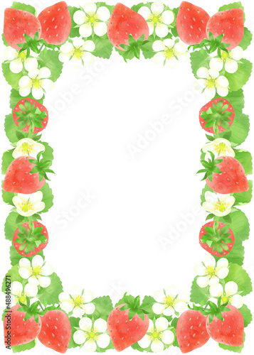                                                       Strawberry watercolor material  decorative frame  decorative material