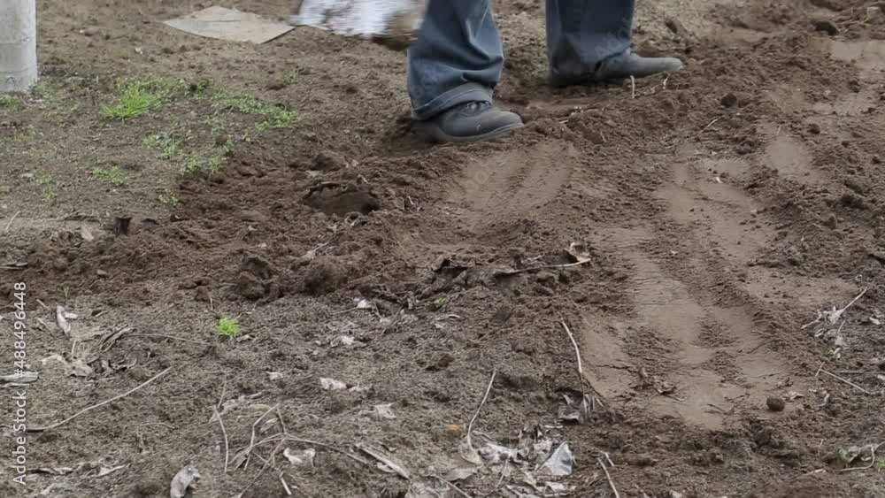 A man throws the earth with a shovel in the garden. Agriculture, close-up A man throws the earth with a shovel in the garden. Agriculture, close-up