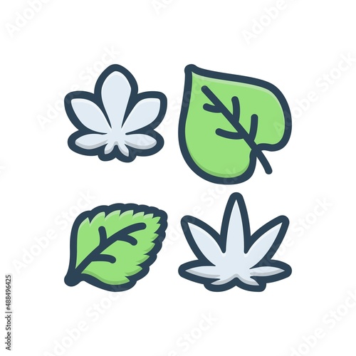 Color illustration icon for collectible