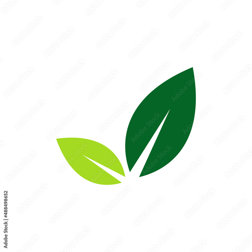 leaf logo icon design template vector