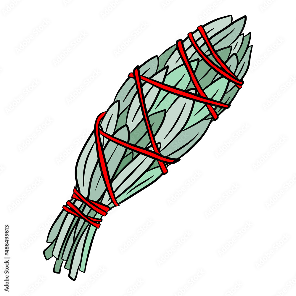 White sage smudge stick used for energy clearing and healing. Hand