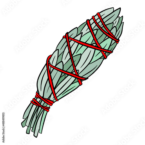 White sage smudge stick used for energy clearing and healing. Hand drawn vector illustration, isolated on white background.