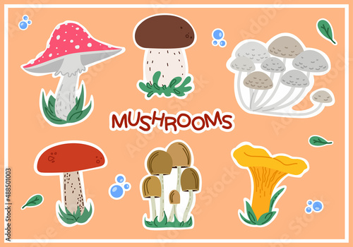 set of different stickers mushrooms isolated on white background. Elements for design