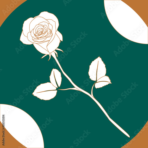 Eine weiße Rose auf smaragdgrünem Hintergrund mit grafischen Elementen
