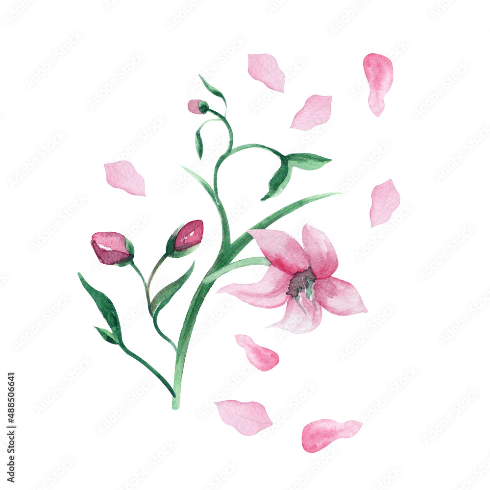 Watercolor paprika flowers and sprouts, hand drawn composition, clipart. Spring wedding postcard. Cookbook illustration, aquarelle food art. Children book, clothes print. Raster stock image. Watercolor paprika flowers and sprouts, hand drawn composition, clipart. Spring wedding postcard. Cookbook illustration, aquarelle food art. Children book, clothes print. Raster stock image.