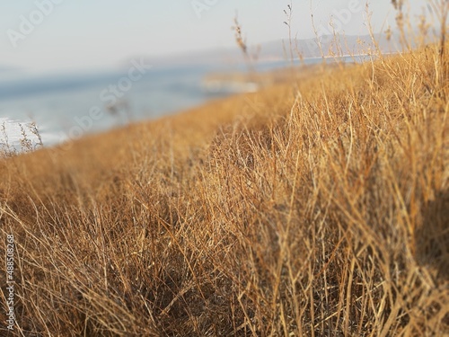 Landscape of Vladivostok,Russia photo