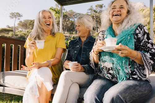 Obraz na płótnie Senior friends laughing happily while having tea