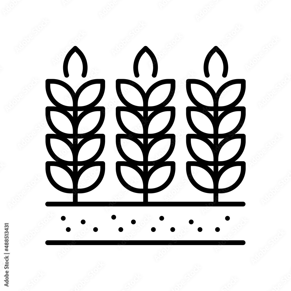 Wheat Vector Outline Icon Design illustration. Agriculture and Farming Symbol on White background EPS 10 File