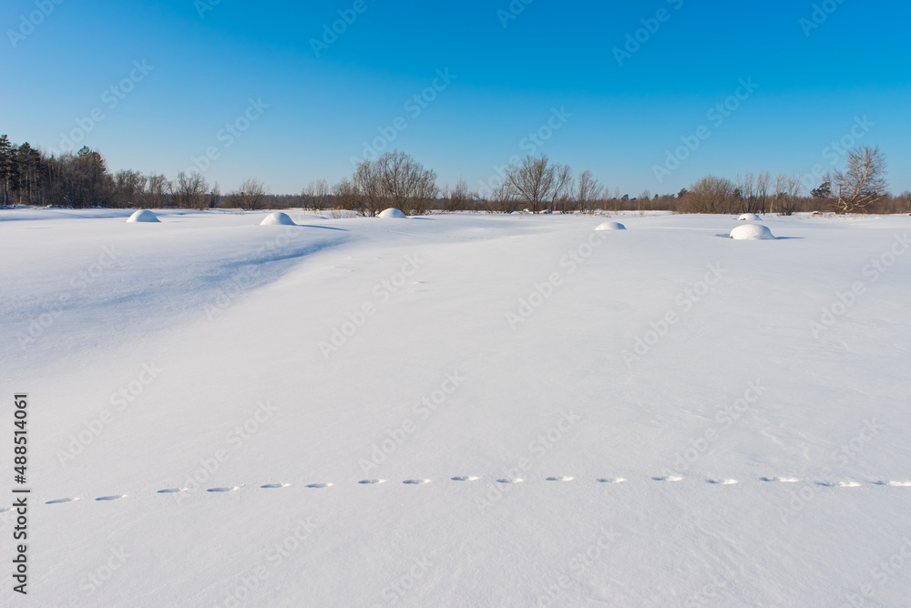 custom made wallpaper toronto digitalHay on a snowy field