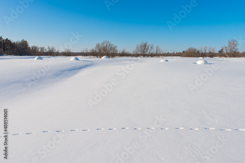 Hay on a snowy field