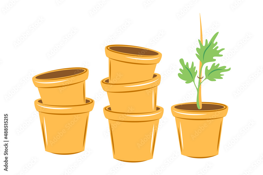 Obraz premium Healthy young seedlings potted.Green shoots. Springtime gardening. Vector illustration isolated on white background.
