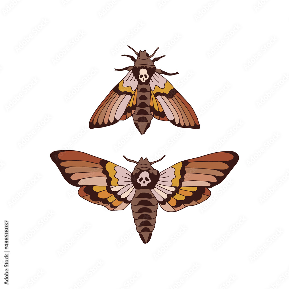 Obraz premium Death head hawkmoth nocturnal fly insect vector illustration set isolated on white. Boho Moon moth print collection for Halloween or tee shirt design.