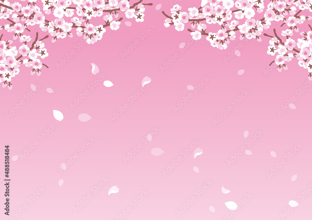 春の桜と花びらが上部から舞うピンクの背景