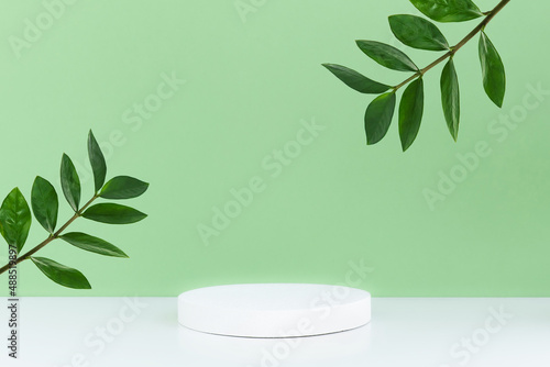Pedestal podium on a white table and pastel green background with green leaves. Minimal abstract background for the presentation of a cosmetic product. Products platform display mockup.